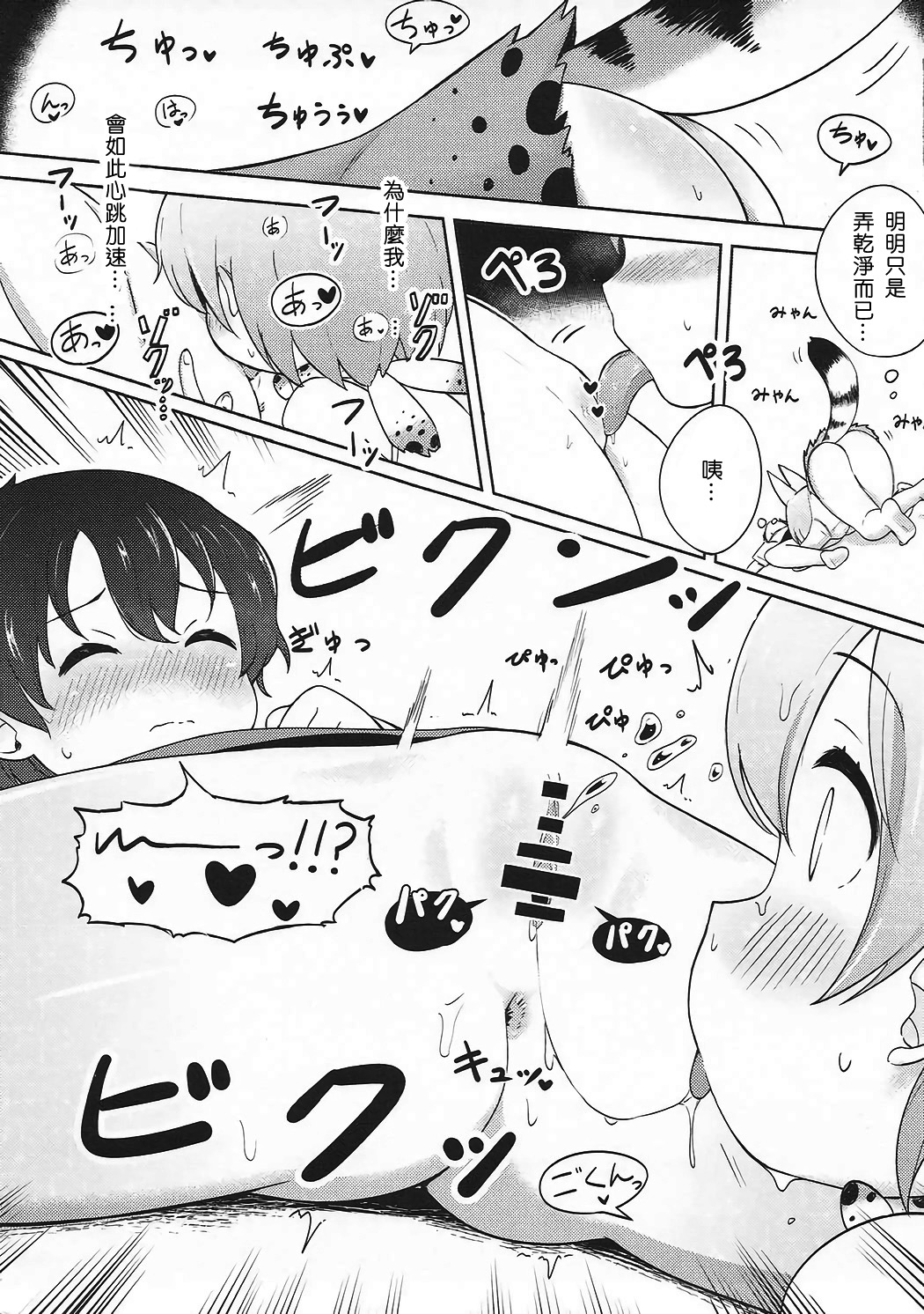 (C92) [ねこパンツ] けものえっち観察記録 (けものフレンズ) [中国翻訳]