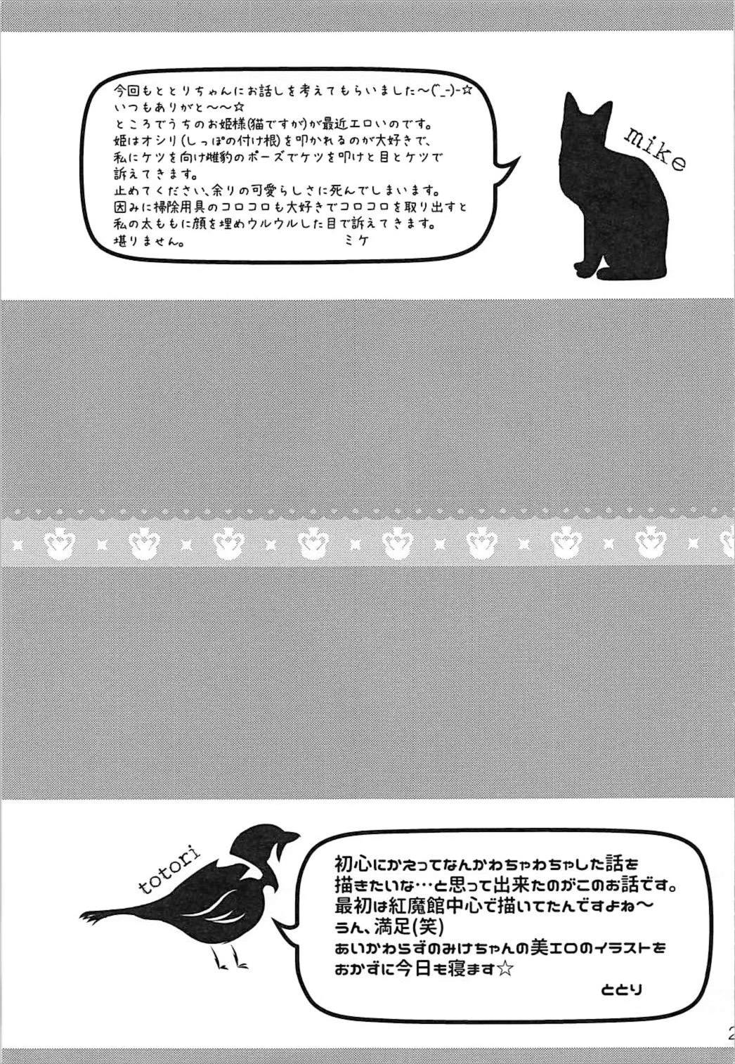 (C92) [みけ猫亭 (ミケ)] 透明人間になったので、イタズラしにいく話。 (東方Project)