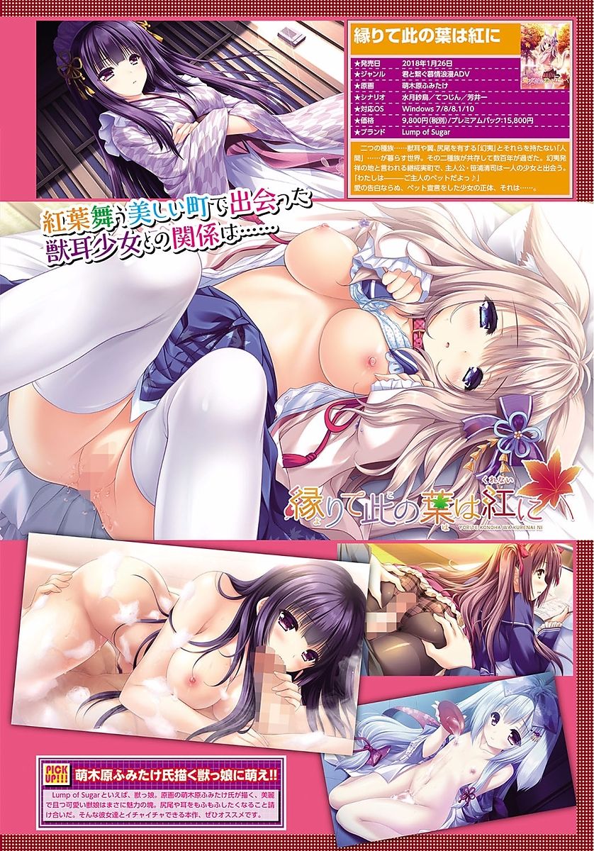 COMIC BAVEL 2018年1月号 [DL版]