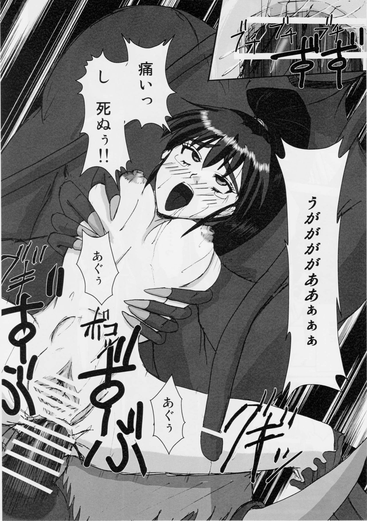 (C76) [謎の赤猫団 (黒猫弐号、黒猫零号)] 淫獣大聖戦 姉妹凌辱編 Ultimate editon (淫獣聖戦)