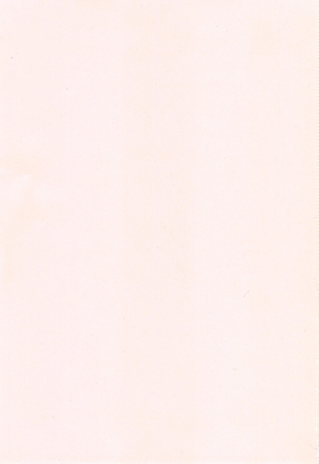 [コテング] ふたりのひみつ + とらのあなリーフレット