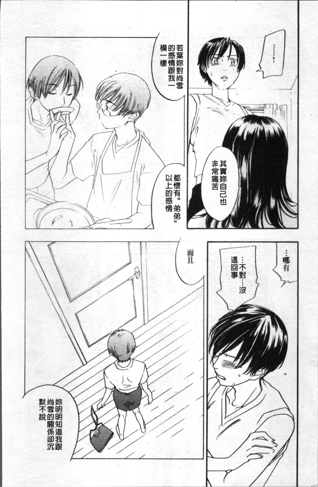 [米倉けんご] エヴァーグリーン [中国翻訳]
