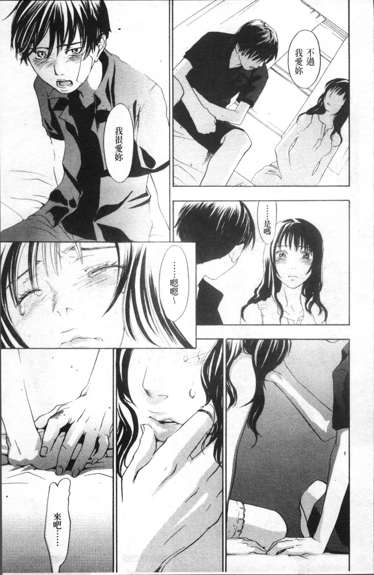 [米倉けんご] エヴァーグリーン [中国翻訳]