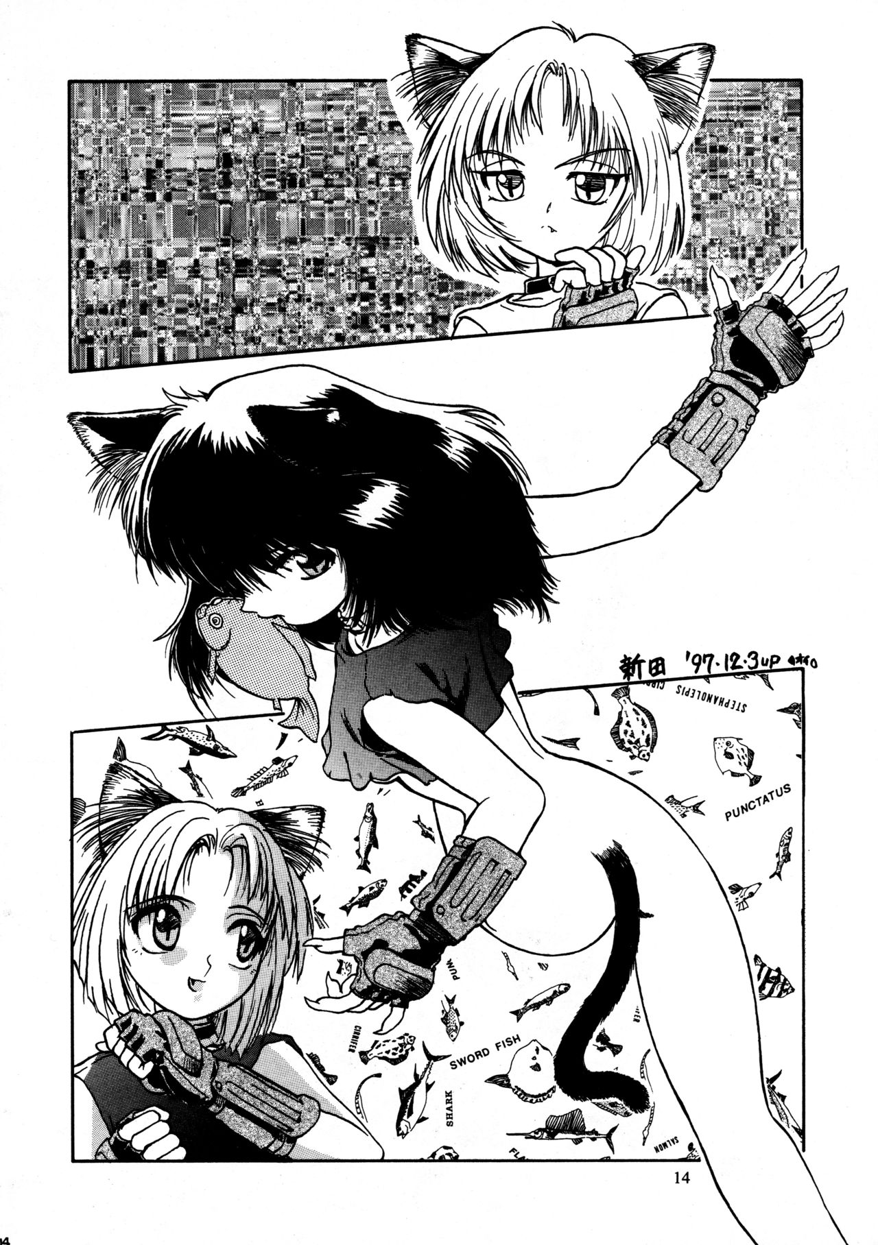 (C53) [ネコミミ団 (つつみあかり)] CAZA MAYOR 2