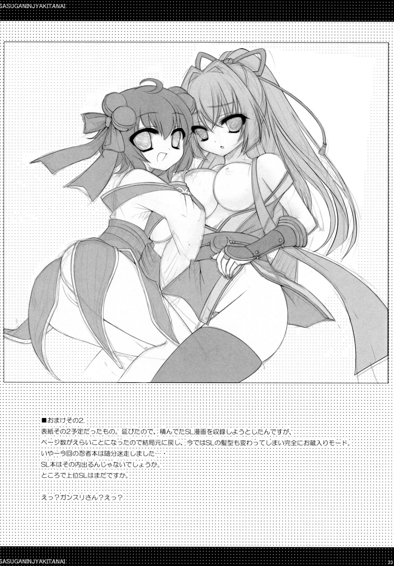 (C80) [hlz (鎖ノム)] さすが忍者きたない (ラグナロクオンライン)