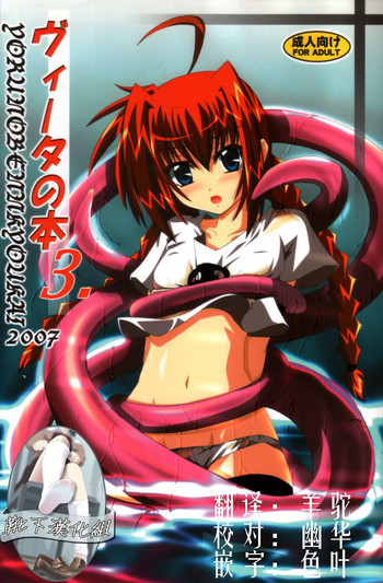 (C72) [夜の勉強会 (ふみひろ)] ヴィータの本 3 (魔法少女リリカルなのは) [中国翻訳]