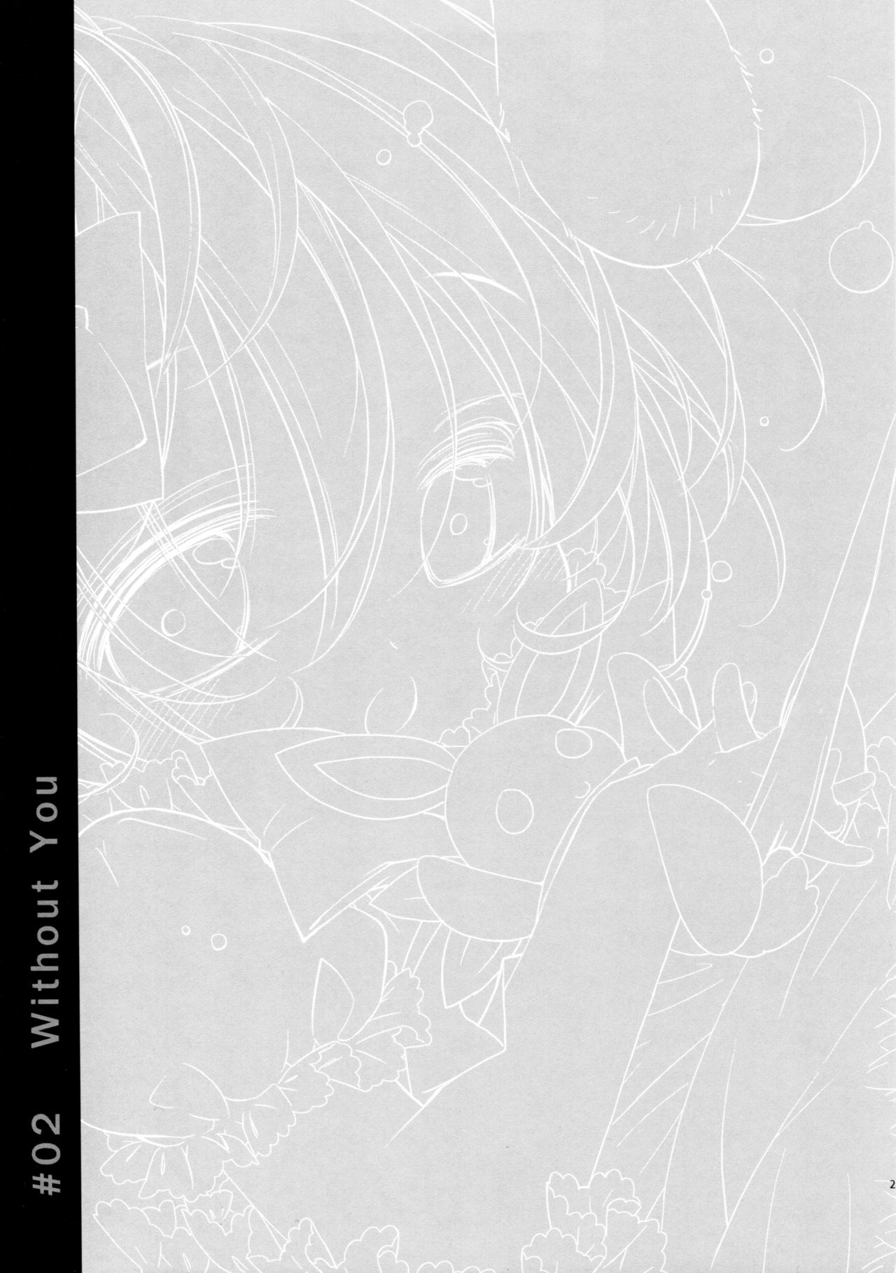 (C90) [PINSIZE Inc. (MITAONSYA)] BLACK AND WHITE RABBIT 総集編