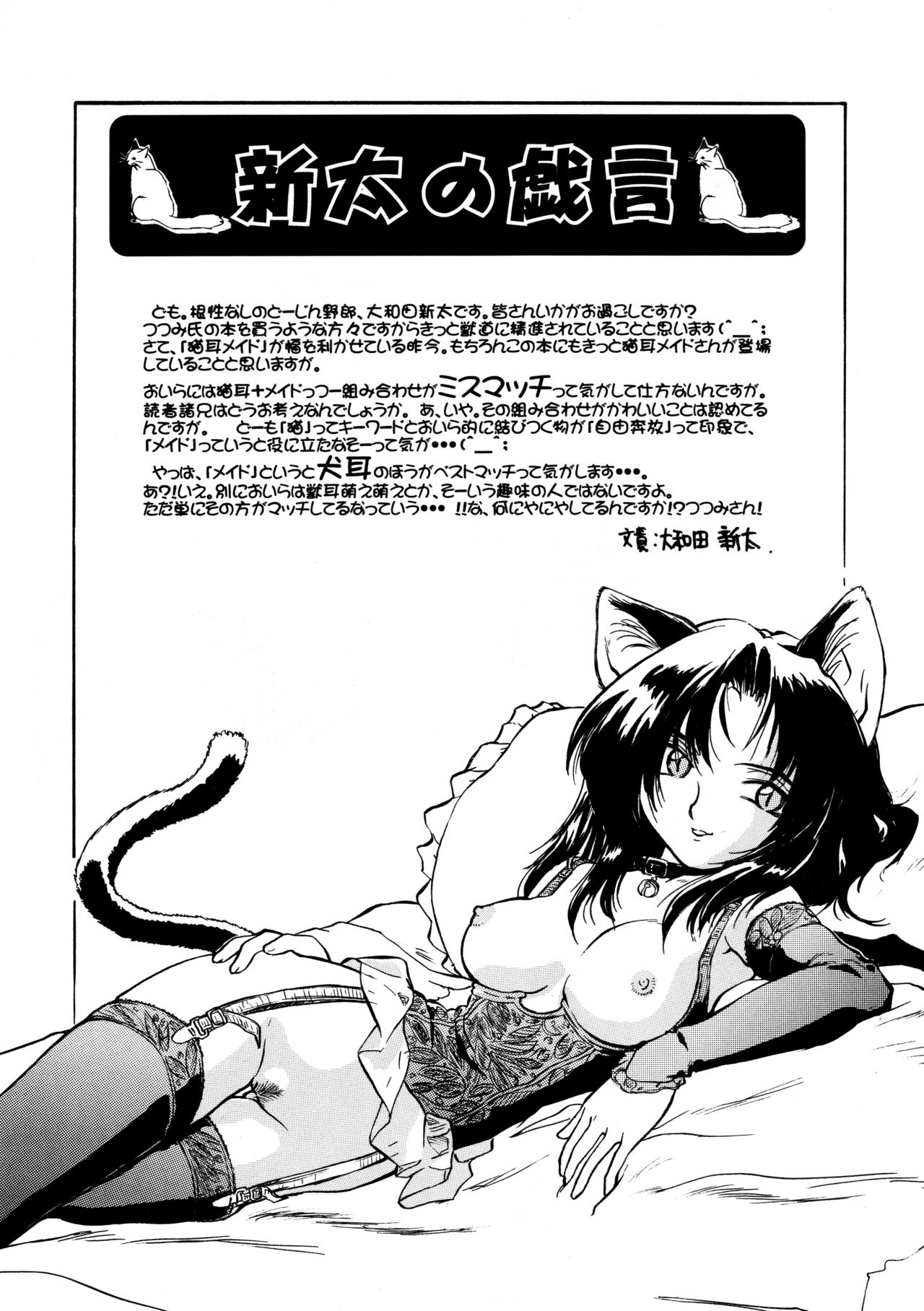 (C56) [.30-06 (つつみあかり)] CAZA MAYOR ～'99 estio～