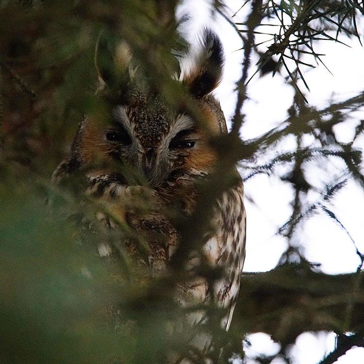 (C46) [The Garden (伊藤まさや)] 私は目覚めているとき，夢をみる [中国翻訳]