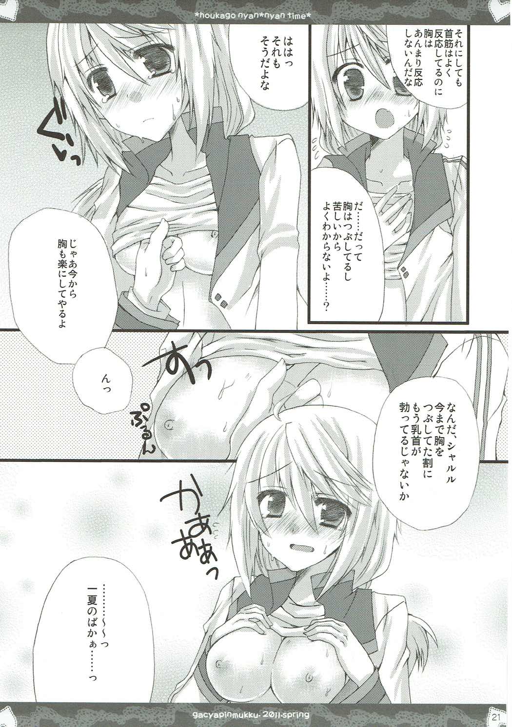 (C85) [がちゃぴんむっく。 (むかいきよはる)] しゃるこれ (IS＜インフィニット・ストラトス＞)