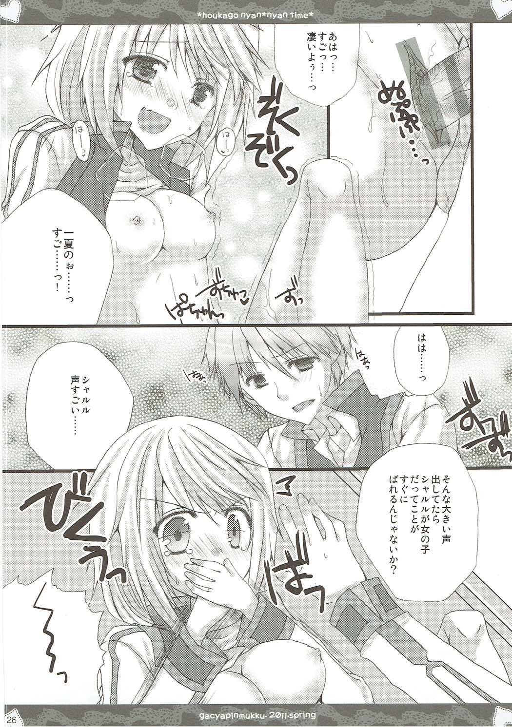 (C85) [がちゃぴんむっく。 (むかいきよはる)] しゃるこれ (IS＜インフィニット・ストラトス＞)