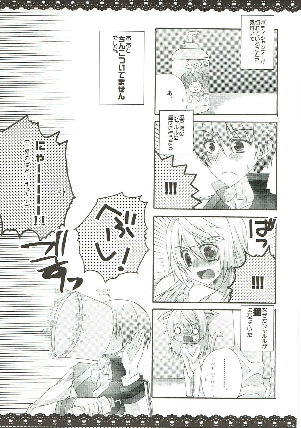 (C85) [がちゃぴんむっく。 (むかいきよはる)] しゃるこれ (IS＜インフィニット・ストラトス＞)