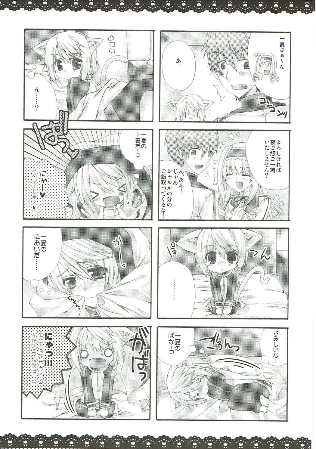 (C85) [がちゃぴんむっく。 (むかいきよはる)] しゃるこれ (IS＜インフィニット・ストラトス＞)