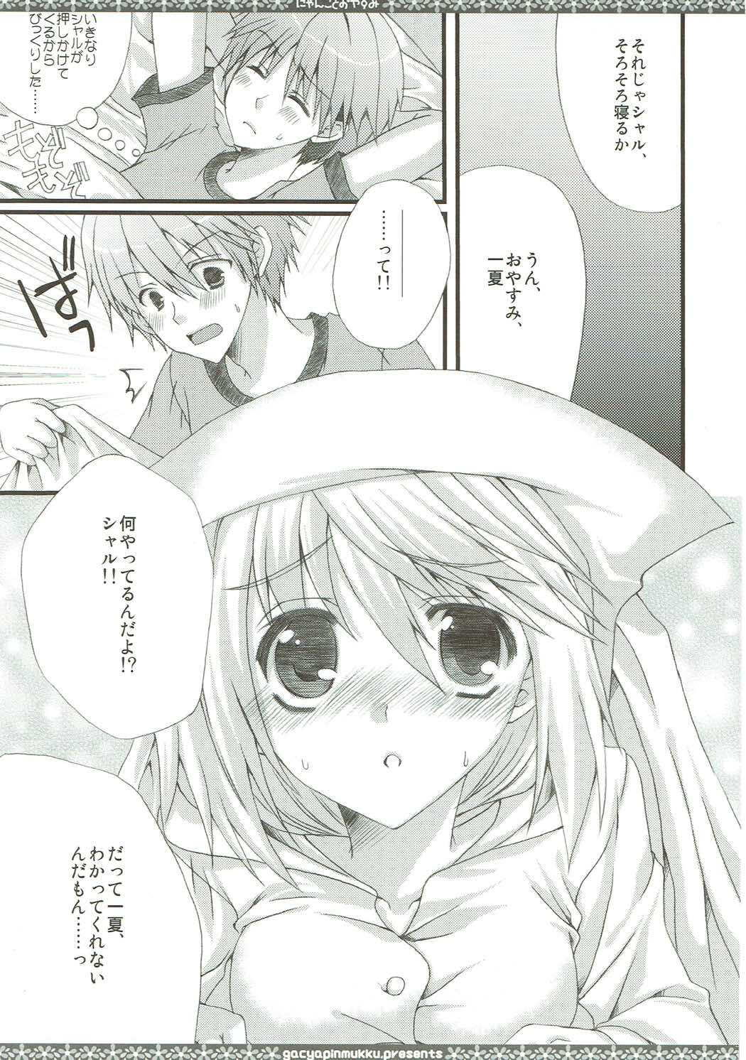 (C85) [がちゃぴんむっく。 (むかいきよはる)] しゃるこれ (IS＜インフィニット・ストラトス＞)