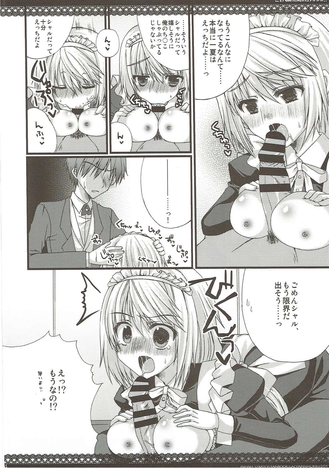 (C85) [がちゃぴんむっく。 (むかいきよはる)] しゃるこれ (IS＜インフィニット・ストラトス＞)