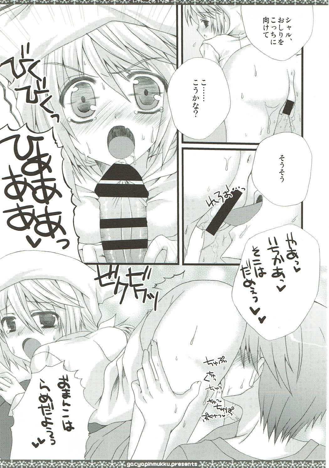 (C85) [がちゃぴんむっく。 (むかいきよはる)] しゃるこれ (IS＜インフィニット・ストラトス＞)