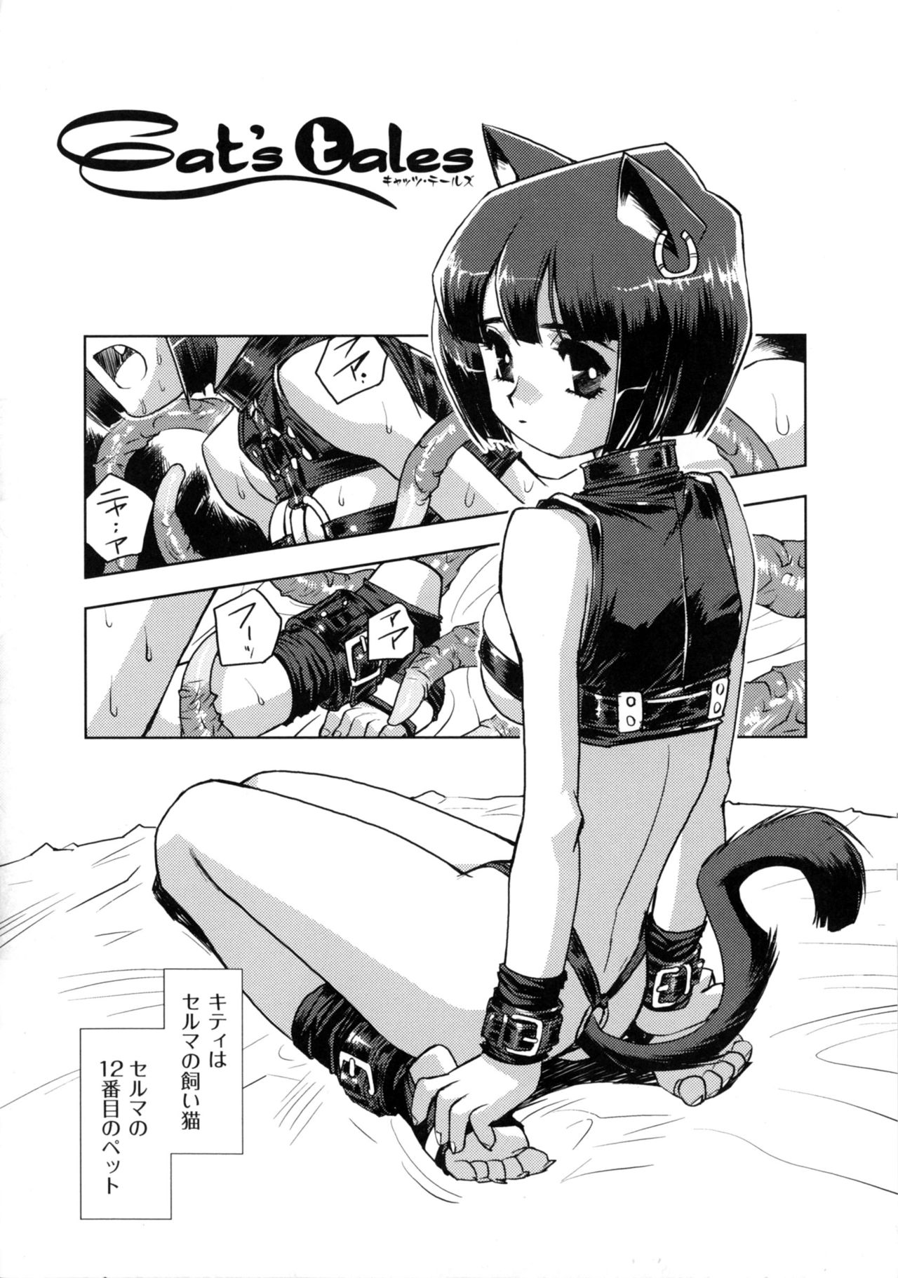 [梶山浩] 淫魔の領域