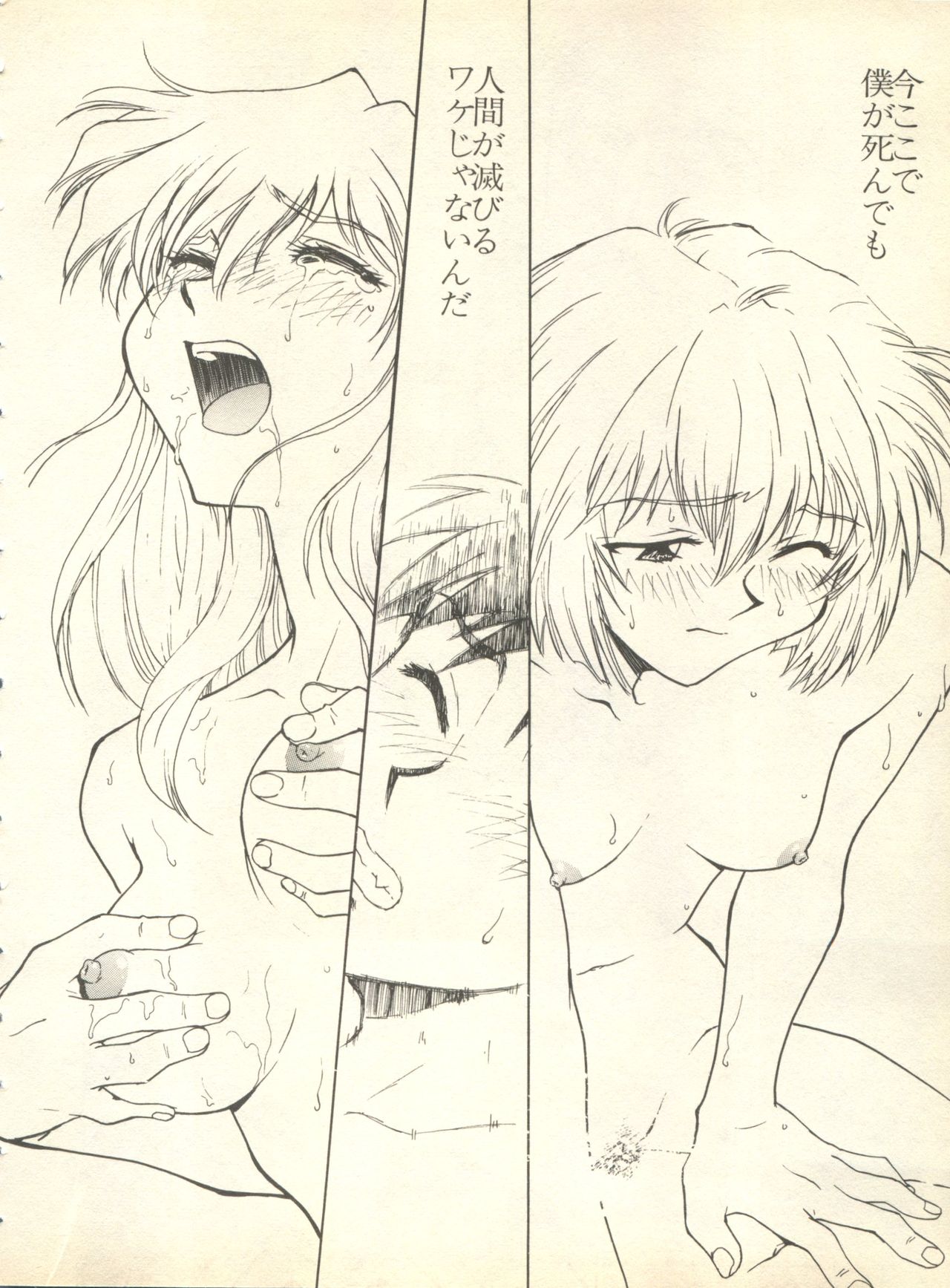 [アンソロジー] 失楽園6 (新世紀エヴァンゲリオン)