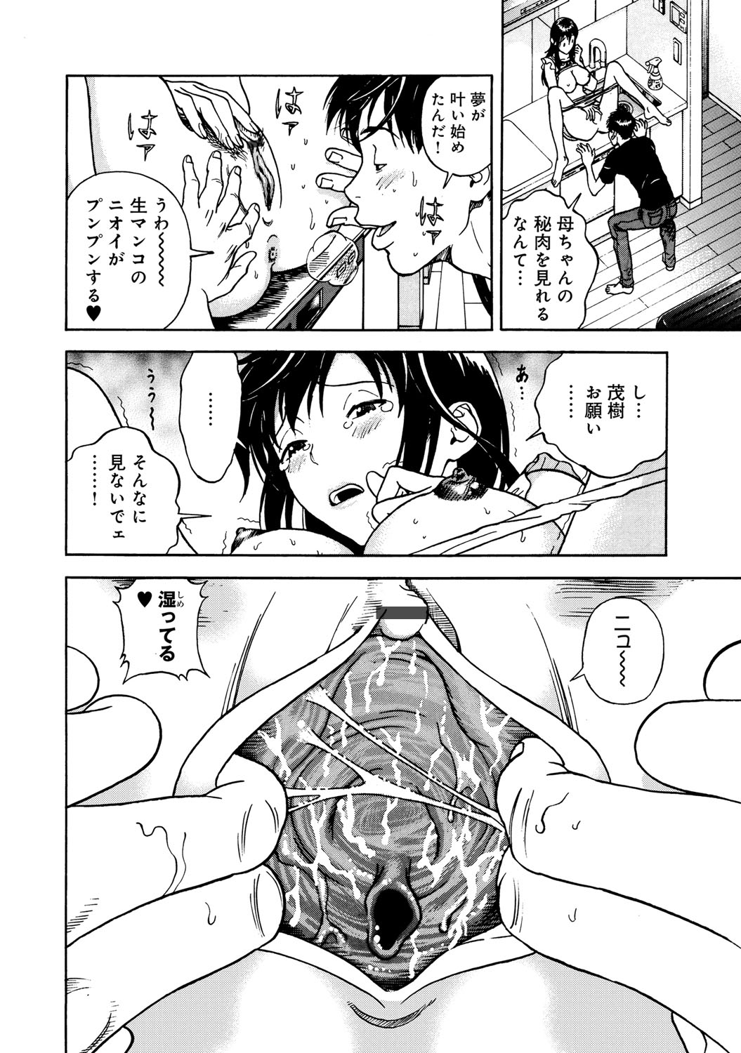 コミックマグナム Vol.52