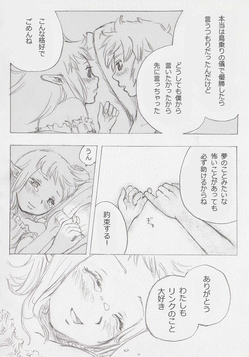 [ぶっちぃ] リンクとゼルダの…