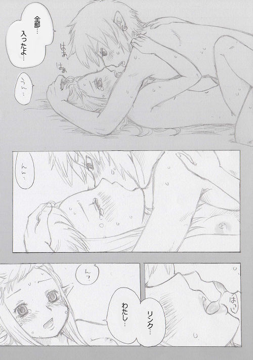 [ぶっちぃ] リンクとゼルダの…