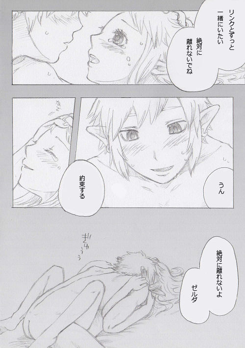 [ぶっちぃ] リンクとゼルダの…