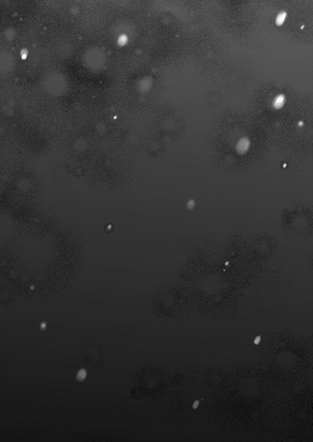 [いなりずし (おめちょ)] 濡れ雪 [DL版]