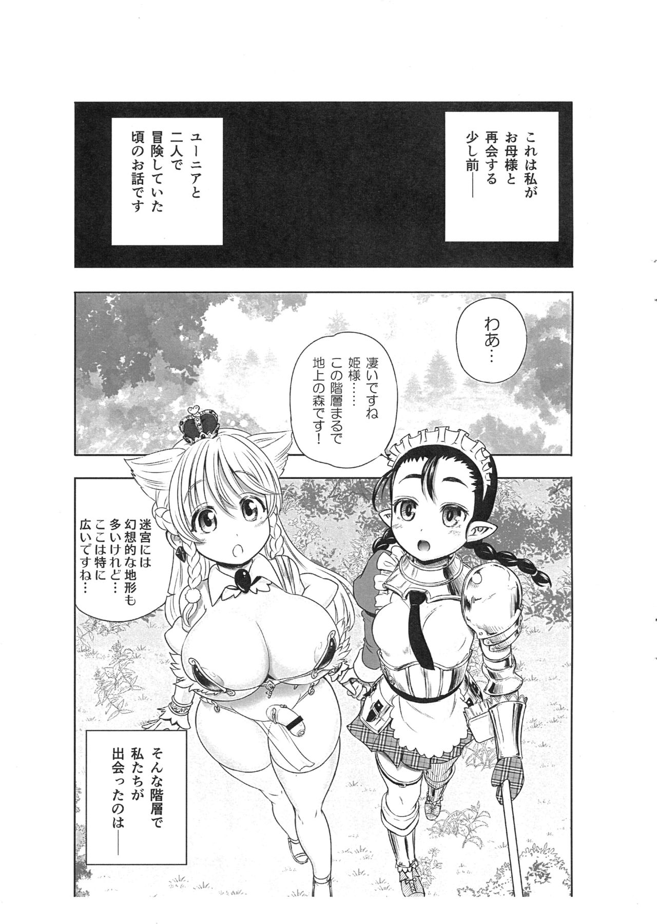 (ふたけっと12) [アルセノテリス (Rebis)] 迷宮王女 INSPIRATION
