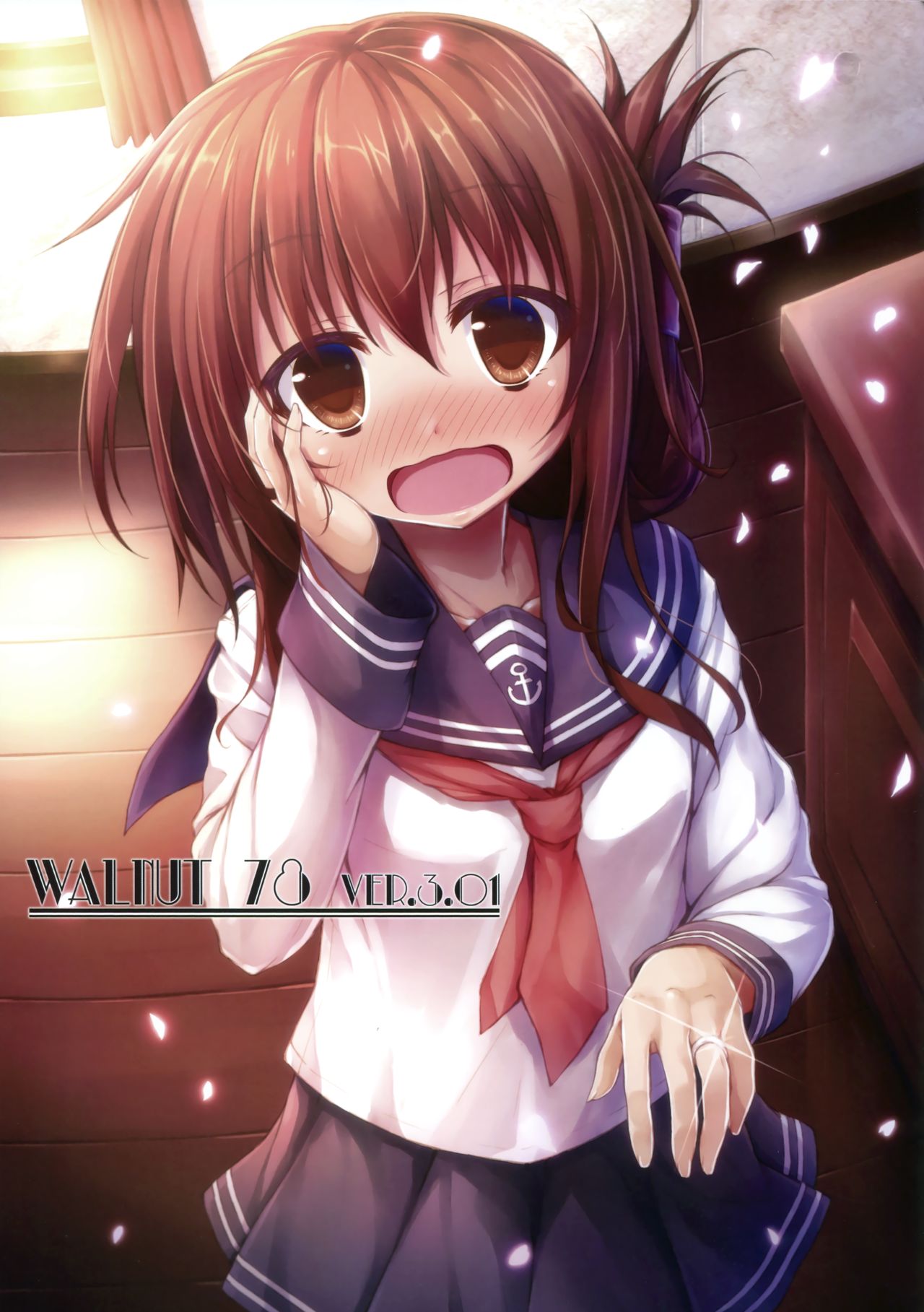 (C91) [翠苑 (翠燕)] WALNUT78 10th (艦隊これくしょん -艦これ-)