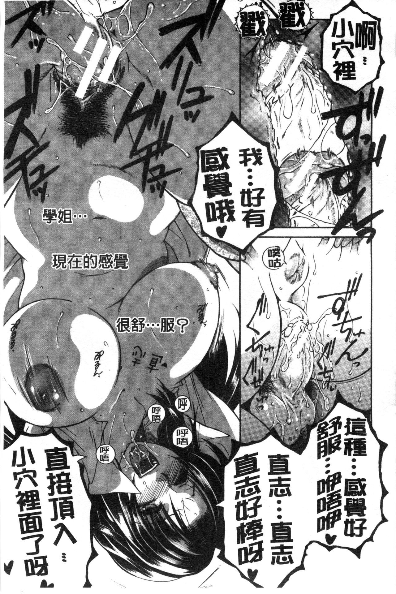 [安原司] そして、姉は弟を選ぶ [中国翻訳]