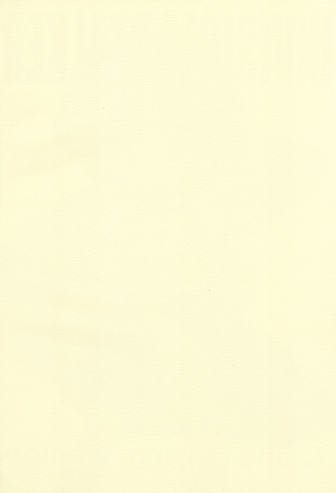 [Okina Flying Factory (OKINA)] INVISIBLE STALKER