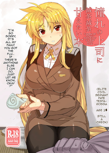 [スタジオ☆ひまわり (日向恭介)] 憧れの上司に滅茶滅茶甘えたい本 (魔法少女リリカルなのは) [英訳] [DL版]