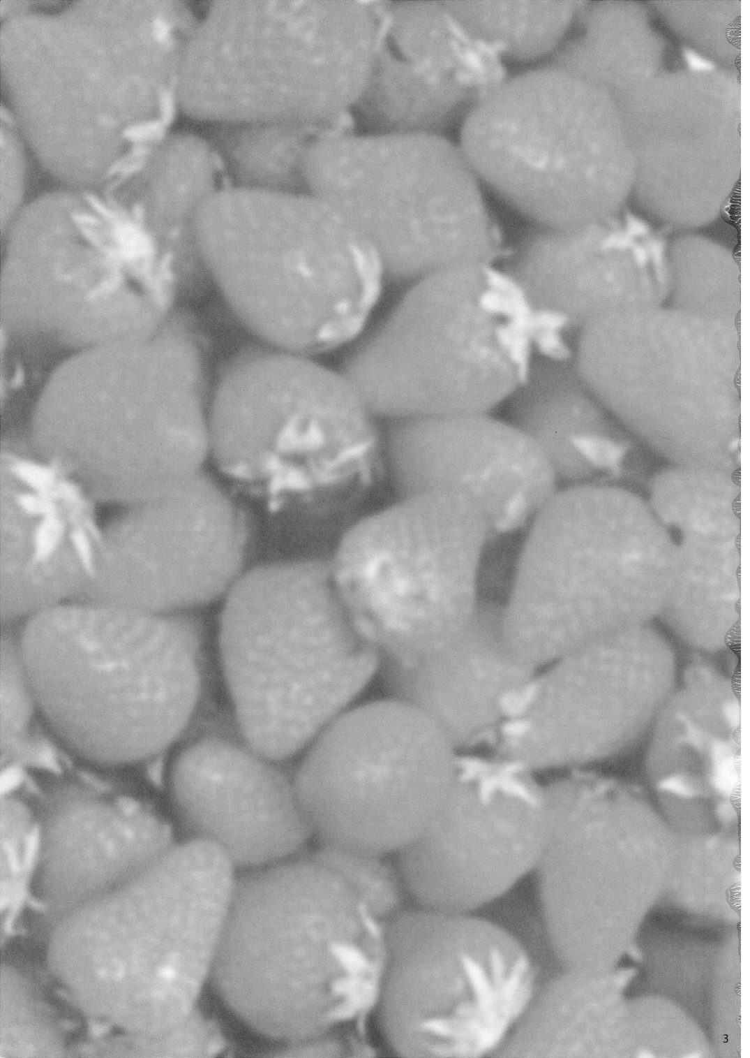 (例大祭5) [54burger (まるごし)] COSMIC DARE (東方Project) [英訳]