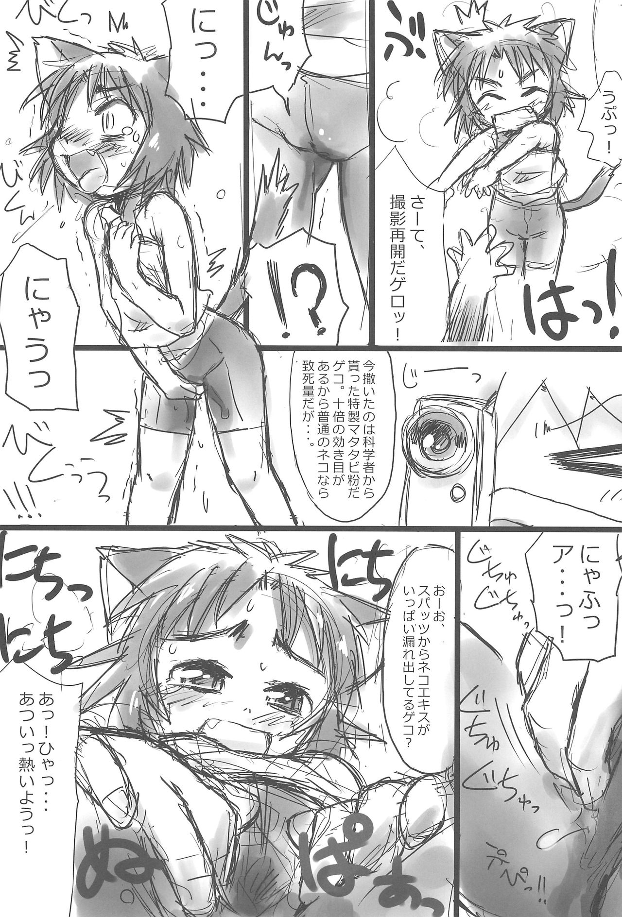 (ぷにケット23) [われPON! (KONKON)] ぬこ娘っぽい