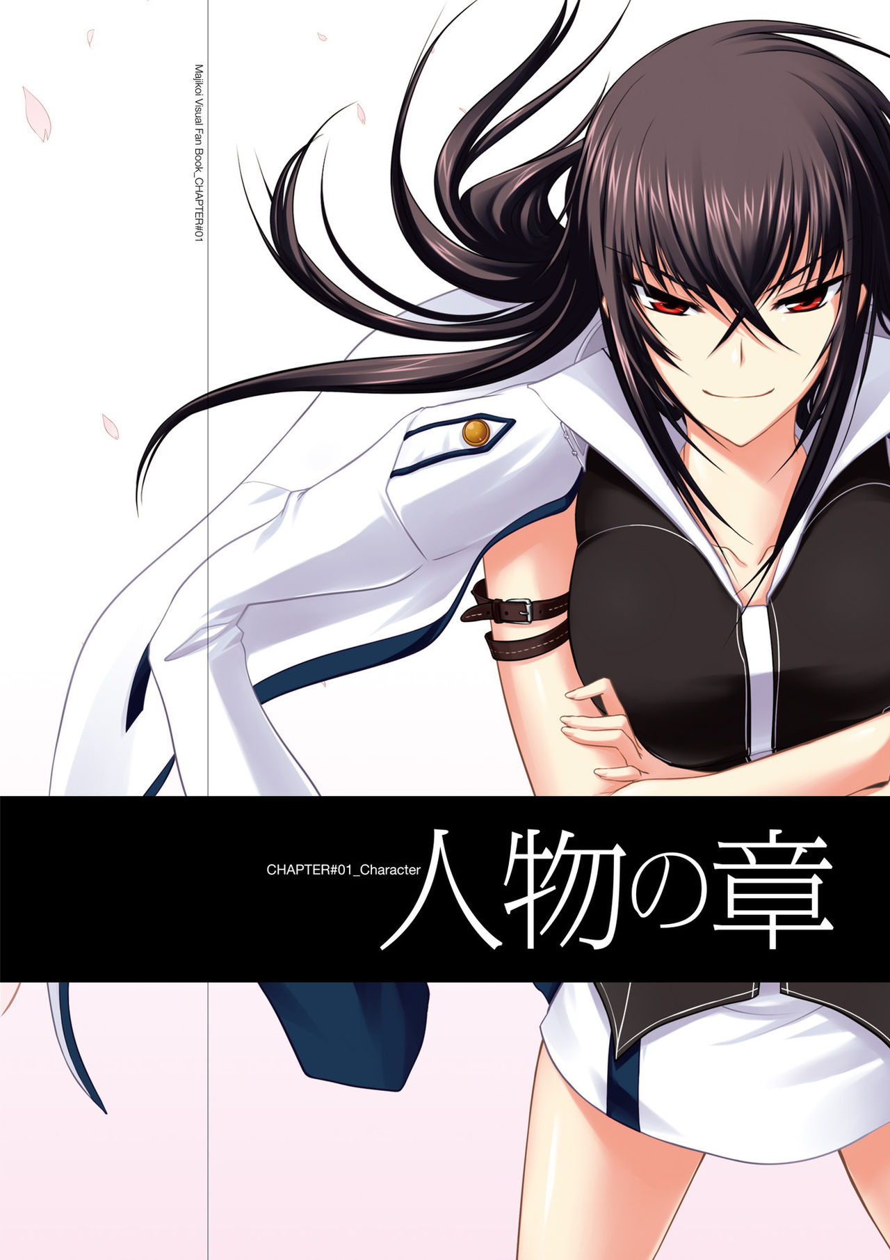 真剣で私に恋しなさい! ビジュアルファンブッ