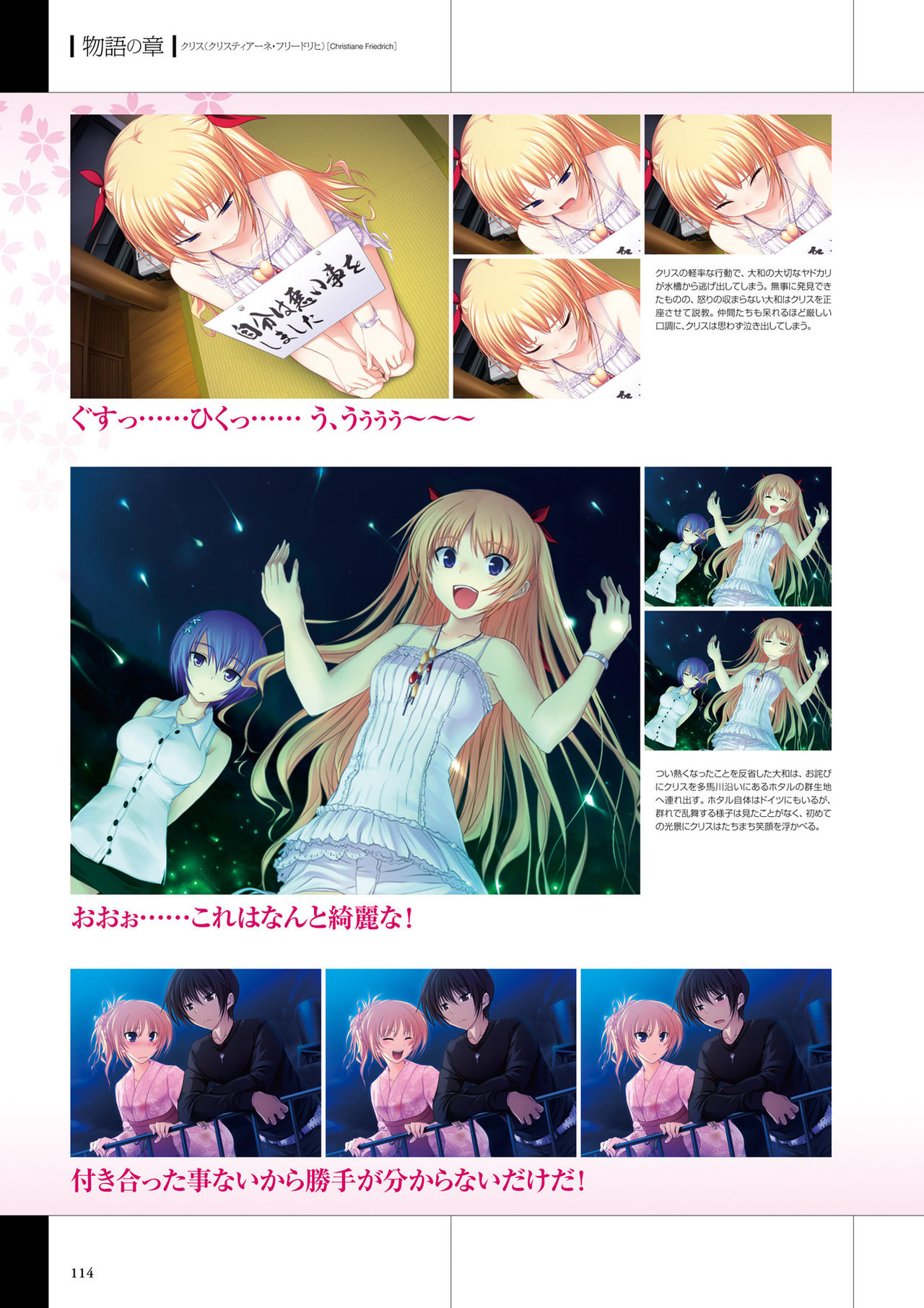 真剣で私に恋しなさい! ビジュアルファンブッ