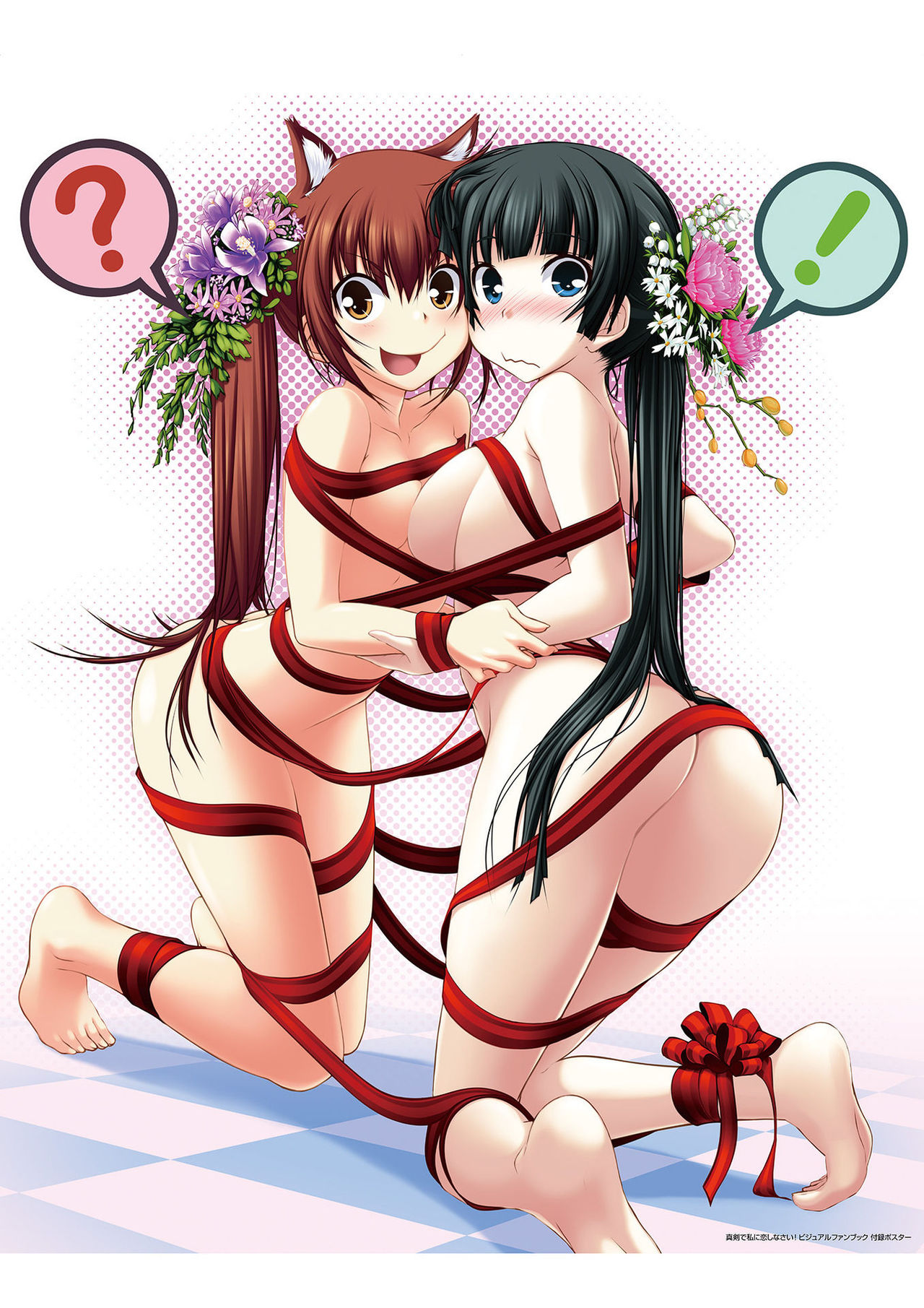 真剣で私に恋しなさい! ビジュアルファンブッ