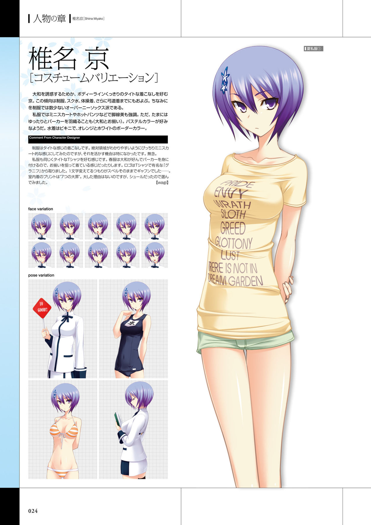 真剣で私に恋しなさい! ビジュアルファンブッ