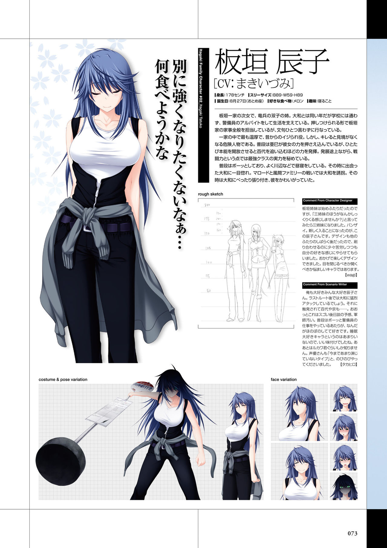 真剣で私に恋しなさい! ビジュアルファンブッ