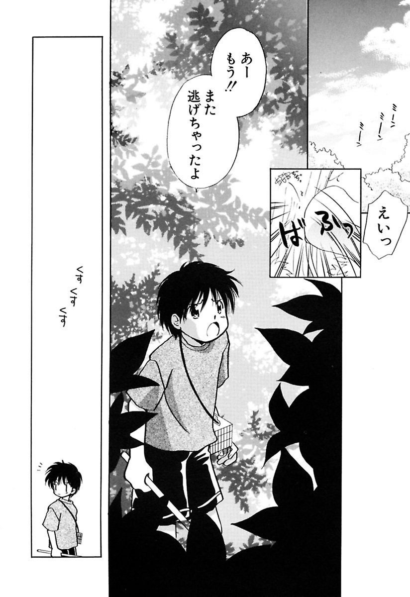 [流星ひかる] 絶滅寸前少女 [DL版]