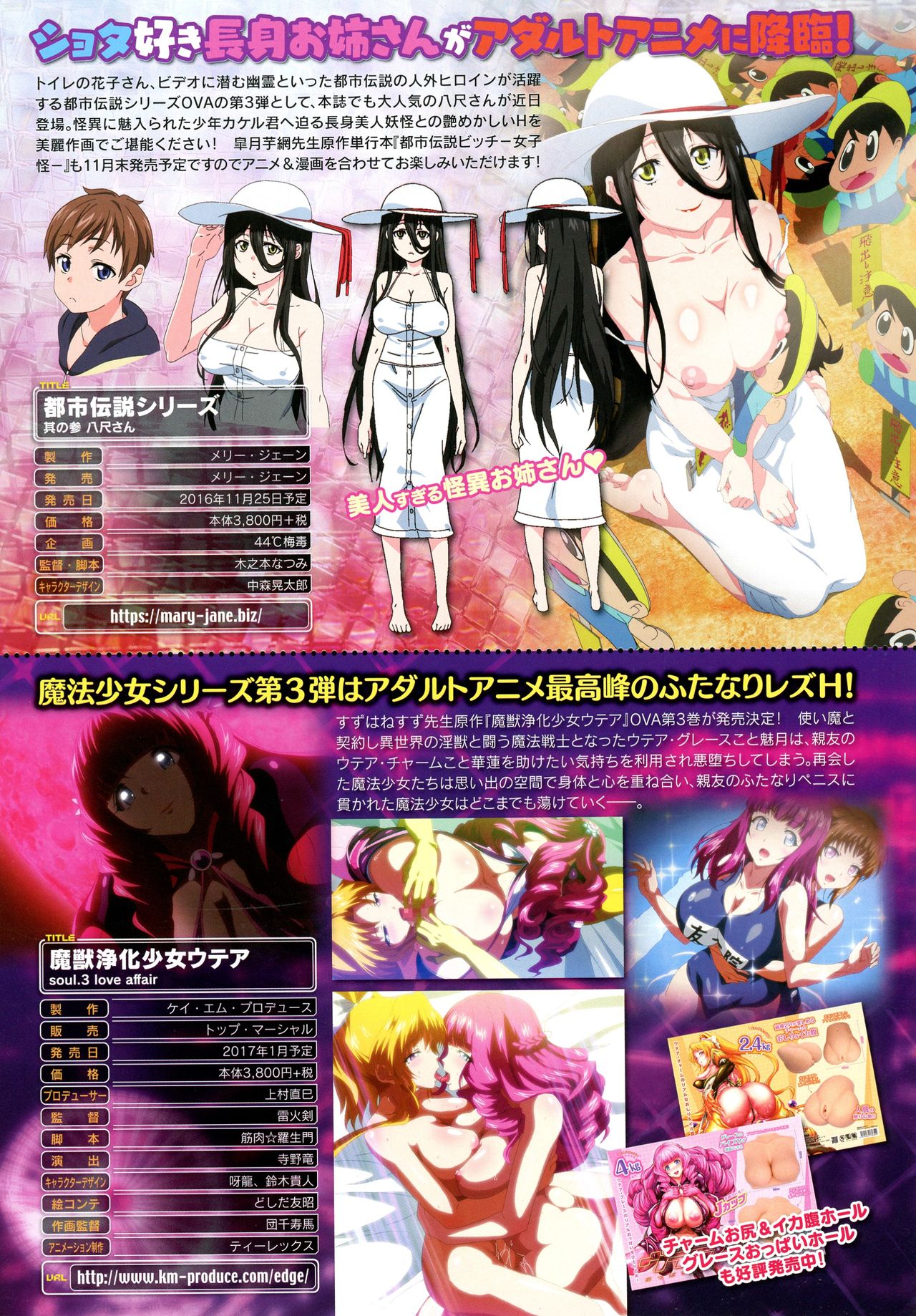 コミックアンリアル 2016年12月号 Vol.64