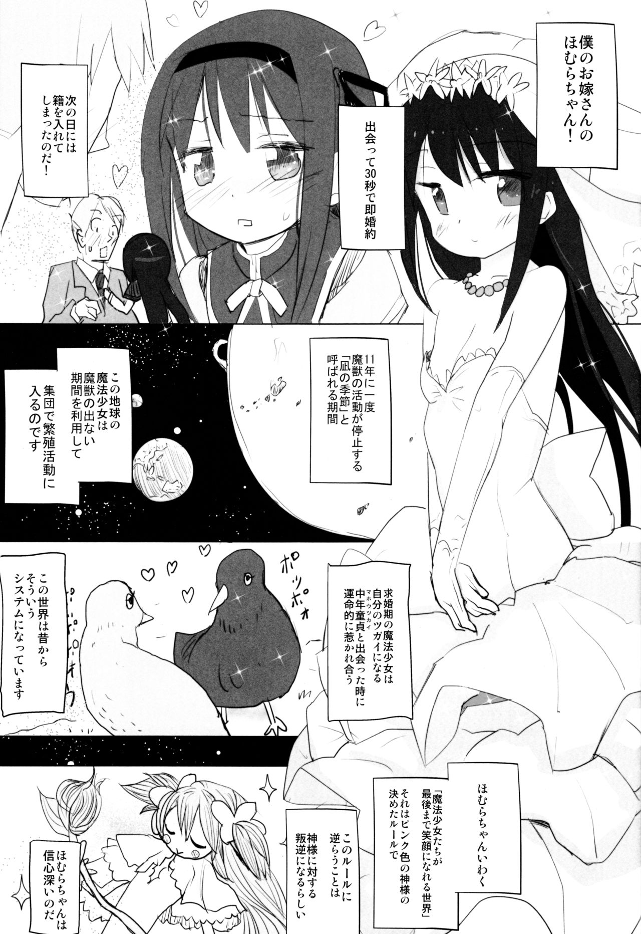 (C88) [■■■たんぽぽ■■■ (あんしんママ)] あなたのことが大好きなほむらちゃんと行く集団露出新婚旅行ハワイ!! (魔法少女まどか☆マギカ)