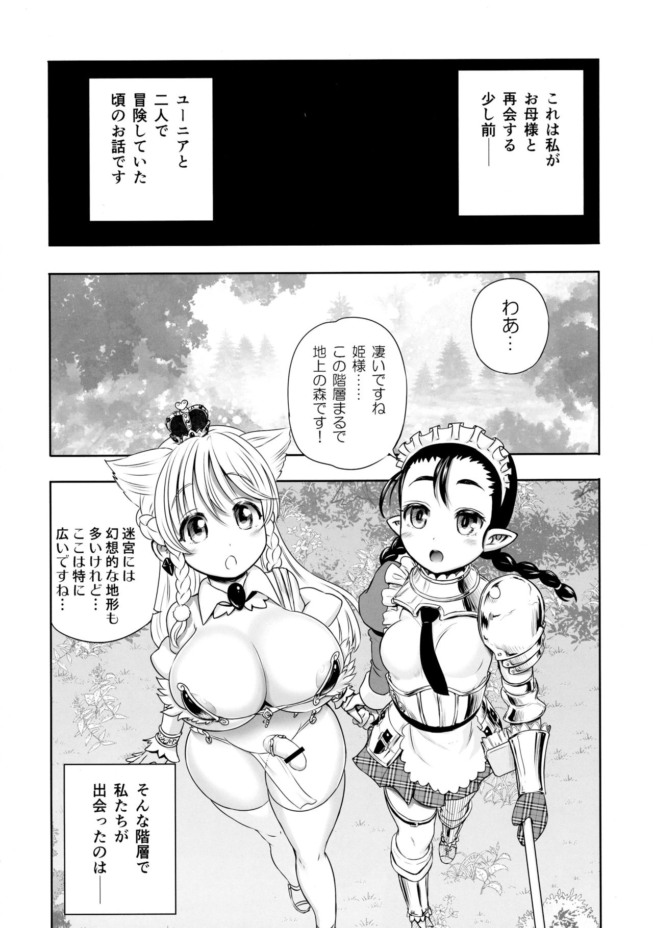 (C90) [アルセノテリス (Rebis)] 迷宮王女と3人のママ:夏コミ会場小冊子付きセット