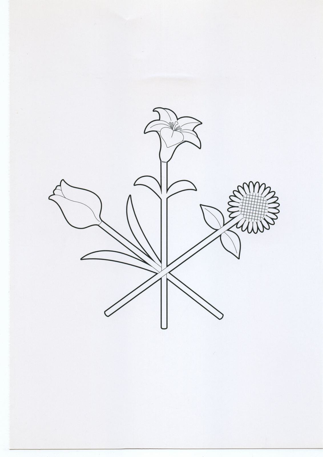 [スタジオ生] TEN TOR