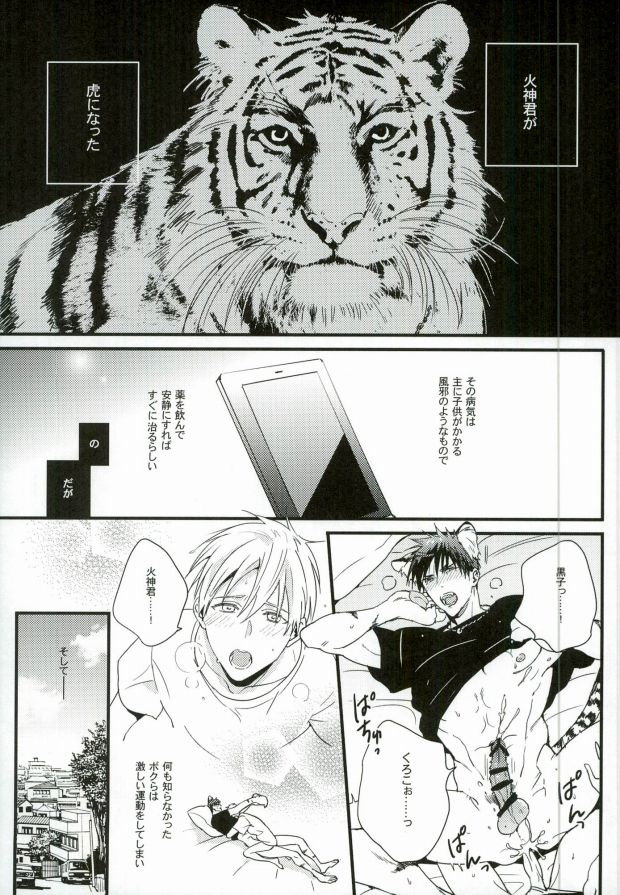 (C88) [FUJIKO (鳥男の恐怖)] 1week (黒子のバスケ)