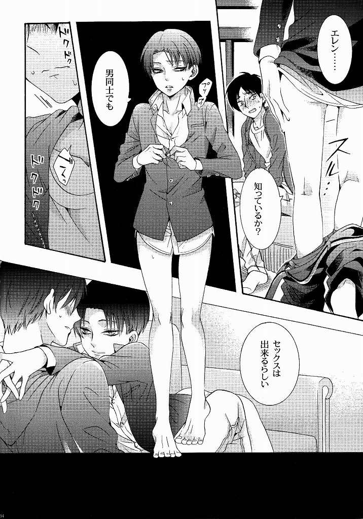 (C87) [一掃g (市梨きみ)] 向日葵の咲く冬 (進撃の巨人)