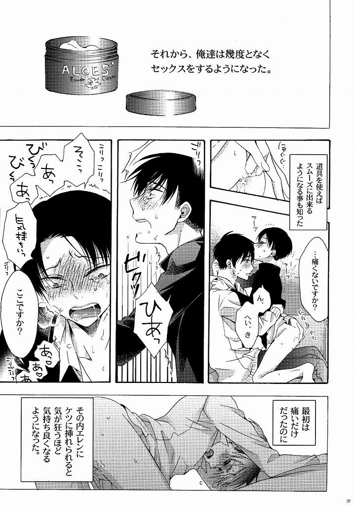 (C87) [一掃g (市梨きみ)] 向日葵の咲く冬 (進撃の巨人)