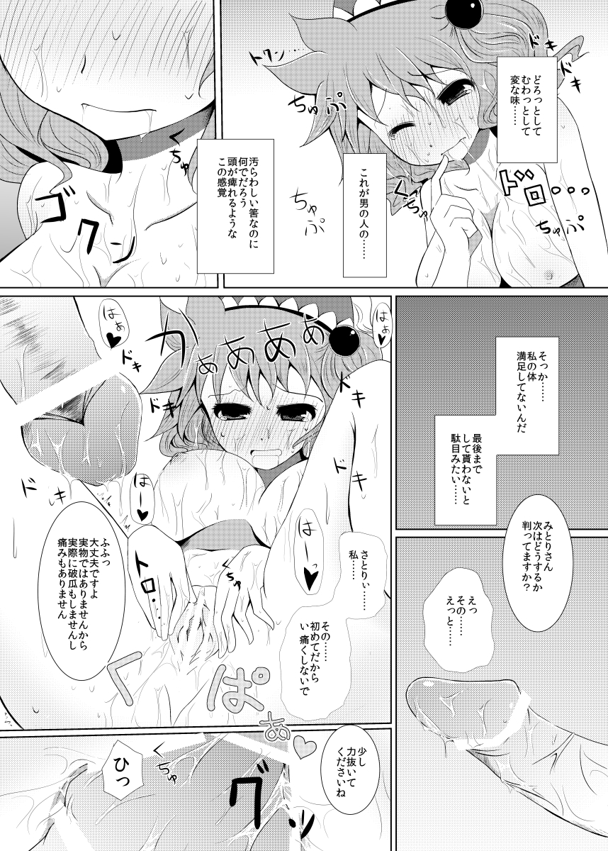 (紅楼夢8) [ふらふらトキシン (荒野 沖)] 前に出したみとり本 (東方Project)