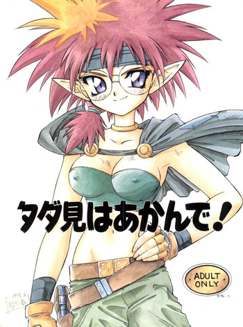 [風神軒 (杜川春)] タダ見はあかんで! (覇王大系リューナイト)