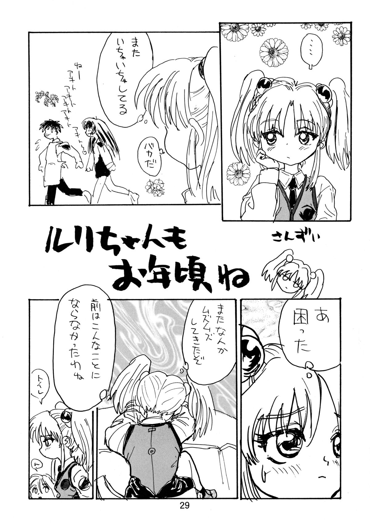 [ソフィア社 (よろず)] バカばっか＋β (機動戦艦ナデシコ, セイバーマリオネットJ)